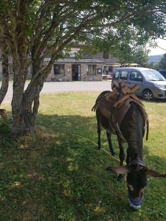 Chalet Du Mont Lozere *